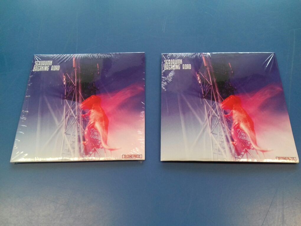 Duplicazione CD “Breaking Road” – Serdrumk
